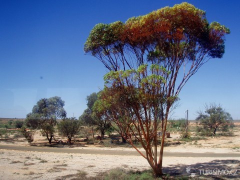 Krajina pouště, autor: amandabhslater